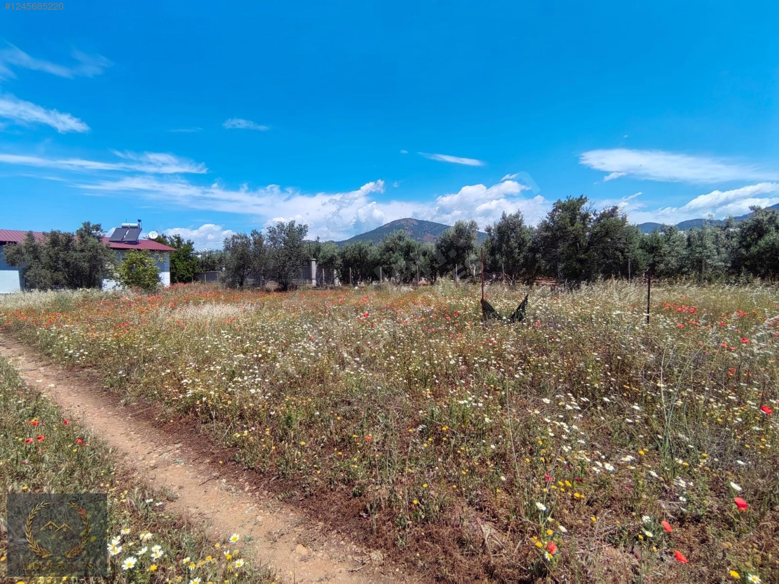 FETHİYE ÇAMKÖY DE %25 İMARLI ARSA 300 M - MUĞLA FETHİYE fotoğraf 5