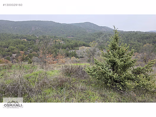 RESMİ YOLLU 800 M2 MANZARALI HOBİ BAHÇESİ - BİLECİK GÖLPAZARI fotoğraf 9