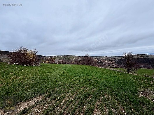 SAMSUN VEZİRKÖPRÜ ÇAMLIDERE'DE 6.670 M2 UYGUN ARSA - SAMSUN VEZİRKÖPRÜ fotoğraf 26