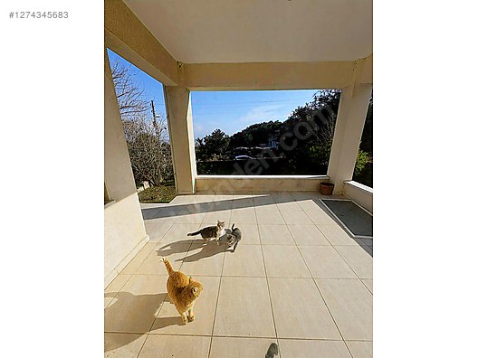 MÜSTAKİL EŞYALI KİRALIK TRİBLEX - HATAY ANTAKYA fotoğraf 8