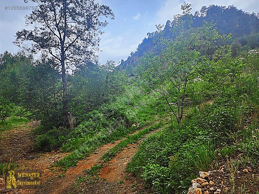 EVCİLİ KÖYÜ 10500 M2 EV VE CEVİZ BAHÇESİ - MERSİN TOROSLAR fotoğraf 2