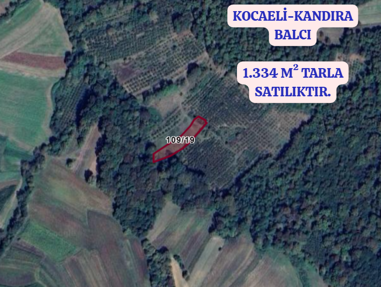 KOCAELİ KANDIRA BALCI  KÖYÜNDE 1.334 M²  TARLA  SATILIKTIR - KOCAELİ KANDIRA fotoğraf 2