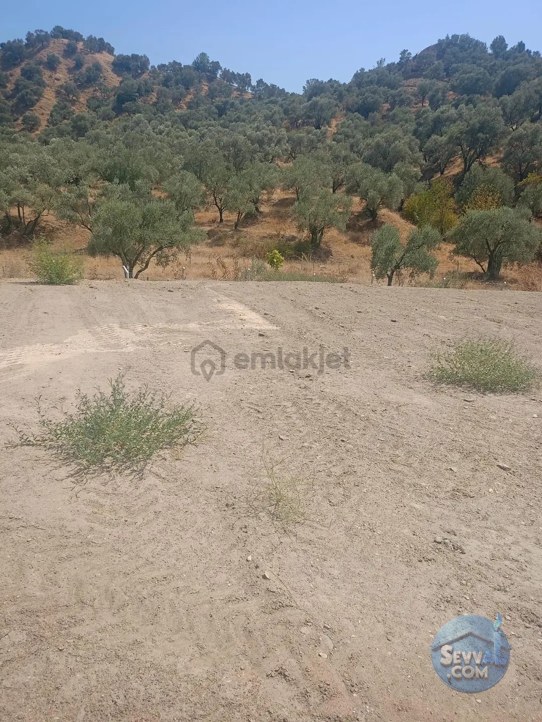 Sultanhisar Yağdere De 2 Yol Cepheli İmarlı Bahçe - AYDIN SULTANHİSAR fotoğraf 16