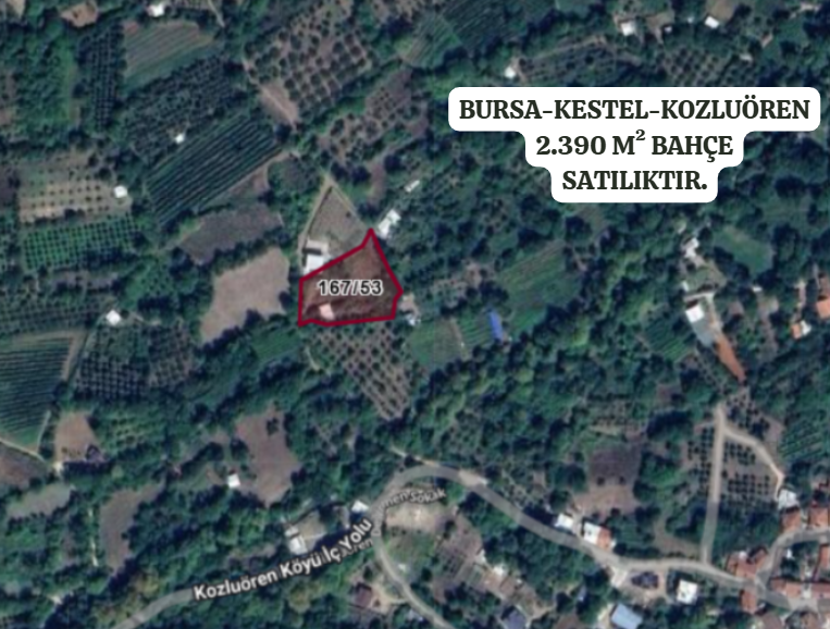BURSA KESTEL KOZLUÖREN KÖYÜ'NDE 2.390 M² BAHÇE SATILIKTIR - BURSA KESTEL fotoğraf 2
