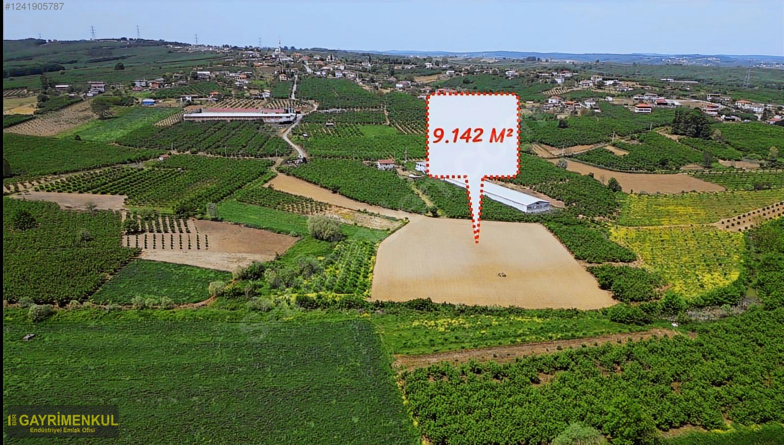 11.752 M² FIRSAT FINDIK BAHÇESİ SAKARYA KAYNARCA ZİAHMET MAH. - SAKARYA KAYNARCA fotoğraf 47