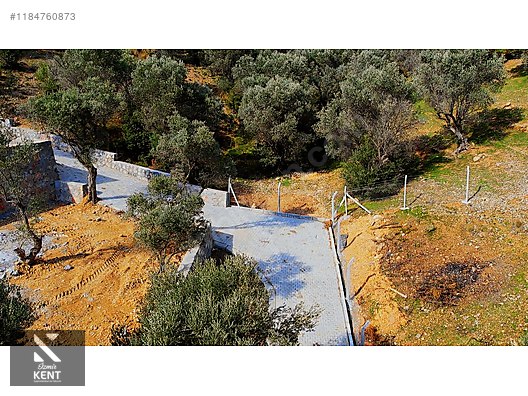 Kemalpaşa Sütçüler Satılık 873 m2 Zeytinlik - İZMİR KEMALPAŞA fotoğraf 33