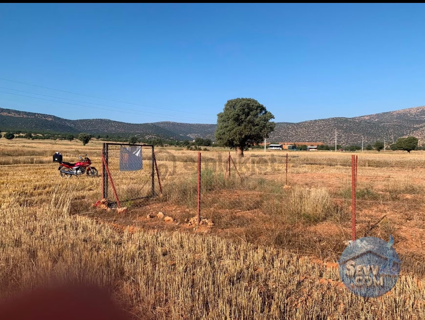  Antalya Korkuteli Susuz İmecikte Toprak Takaslı Satılık 226m2 tarla  - ANTALYA KORKUTELİ fotoğraf 6