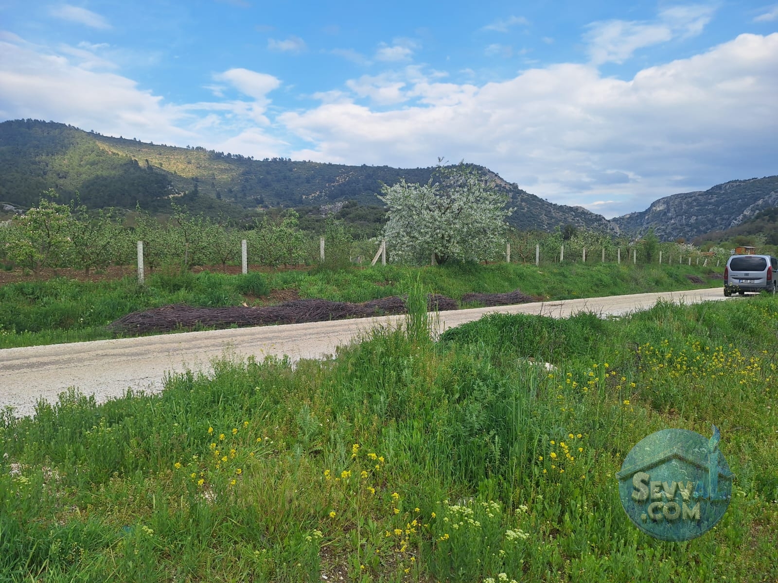 ASYA EMLAKTAN BURDUR AĞLASUN HİSARKÖY DE SATILIK FIRSAT TARLA - Burdur Ağlasun fotoğraf 3