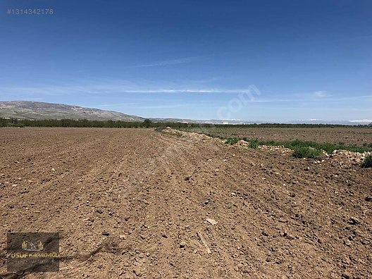 AKÇADAĞ BAHRİ İKİ AYRI TAPULU SATILIK SULU TARLA - MALATYA AKÇADAĞ fotoğraf 10