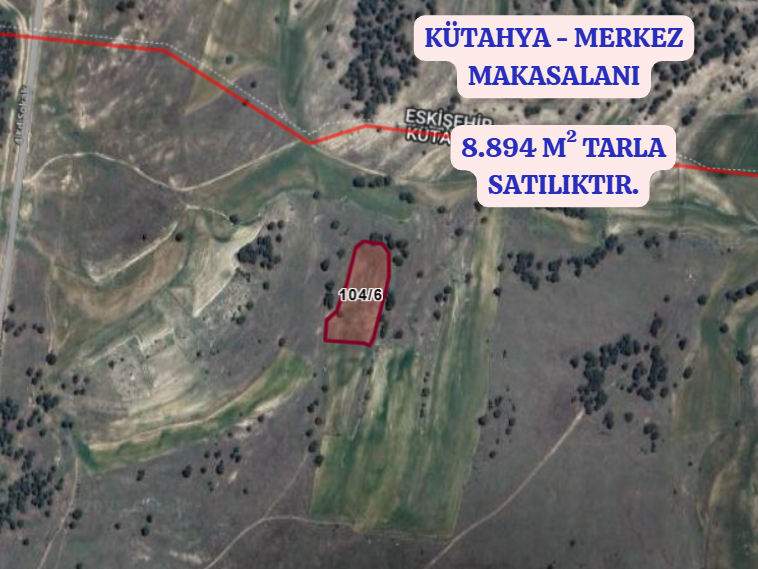 KÜTAHYA MERKEZ MAKASALANI  KÖYÜ’NDE 8.894 M² TARLA SATILIKTIR  - KÜTAHYA MERKEZ fotoğraf 2