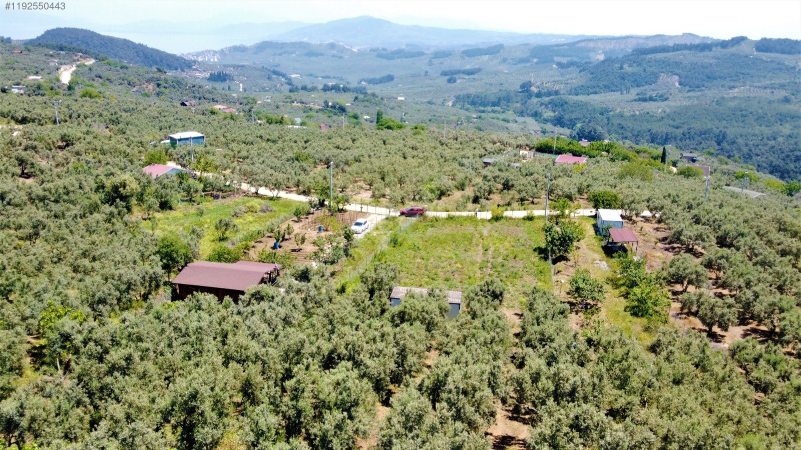 BURSA MUDANYA ÇEPNİ KÖYÜNDE 2.110 M² ZEYTİNLİK SATILIKTIR. - BURSA MUDANYA fotoğraf 13