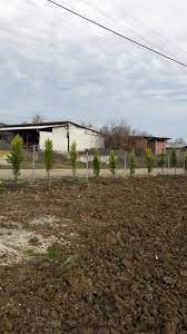 Keçiören Sanatoryum Barut Sokak'ta 1.Katta, Ön Cephe, Güneşli, 125 M2, Masrafsız - ANKARA KEÇİÖREN fotoğraf 33