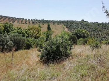 BURSA KARACABEY YEŞİLDERE KÖYÜNDE 3.600 M² TARLA SATILIKTIR - BURSA KARACABEY fotoğraf 8
