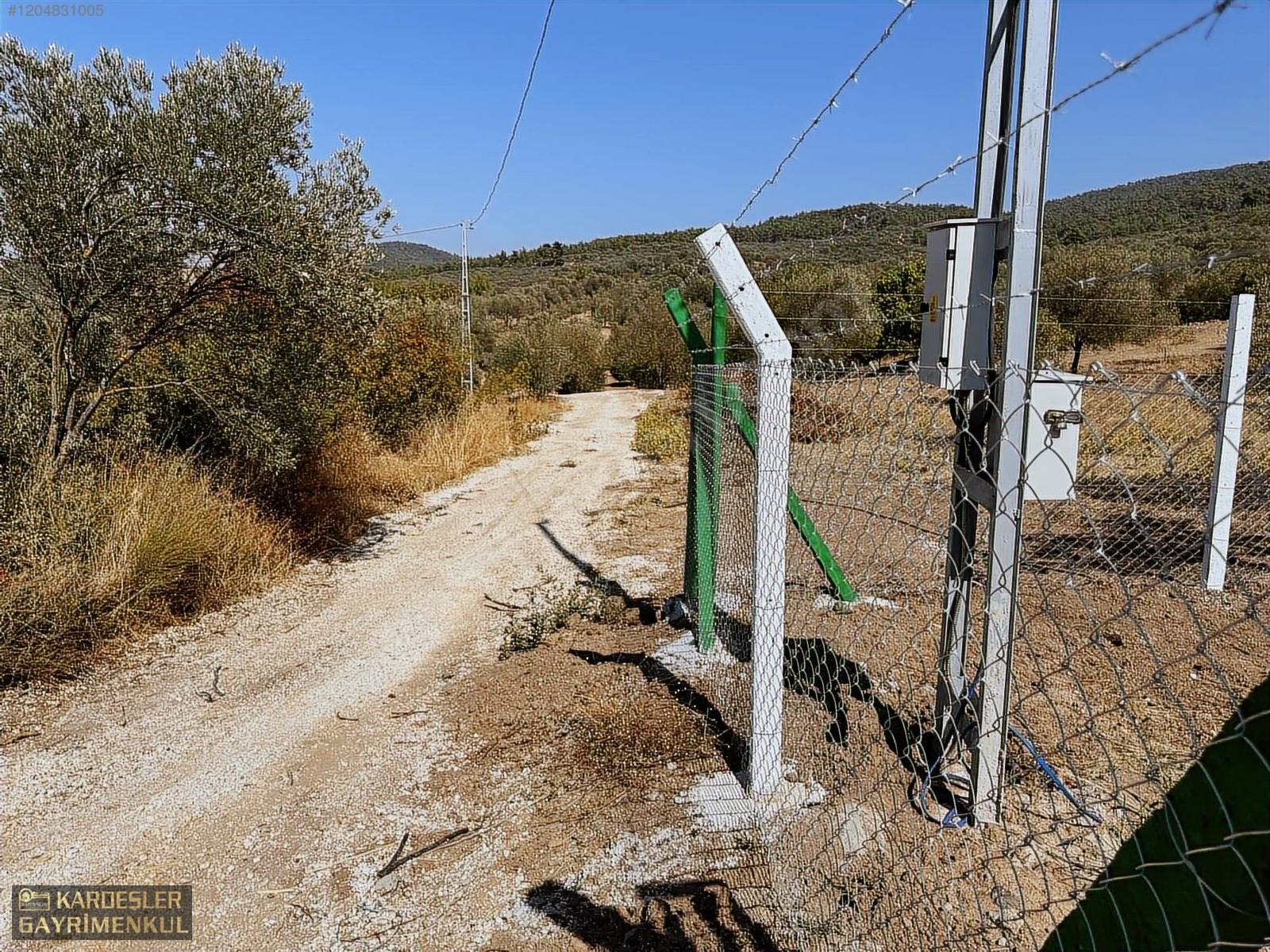 AKHİSAR YENİCEKÖYDE KARIŞIK ZEYTİN MEYVE BAHÇESİ SU ELEKTRİKLİ - MANİSA AKHİSAR fotoğraf 14