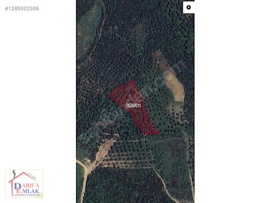 YALOVA KARŞIYAKADA ŞEHİR HASTANESİNE YAKIN ZEYTİNLİK 2.127 M2 - YALOVA ARMUTLU fotoğraf 6