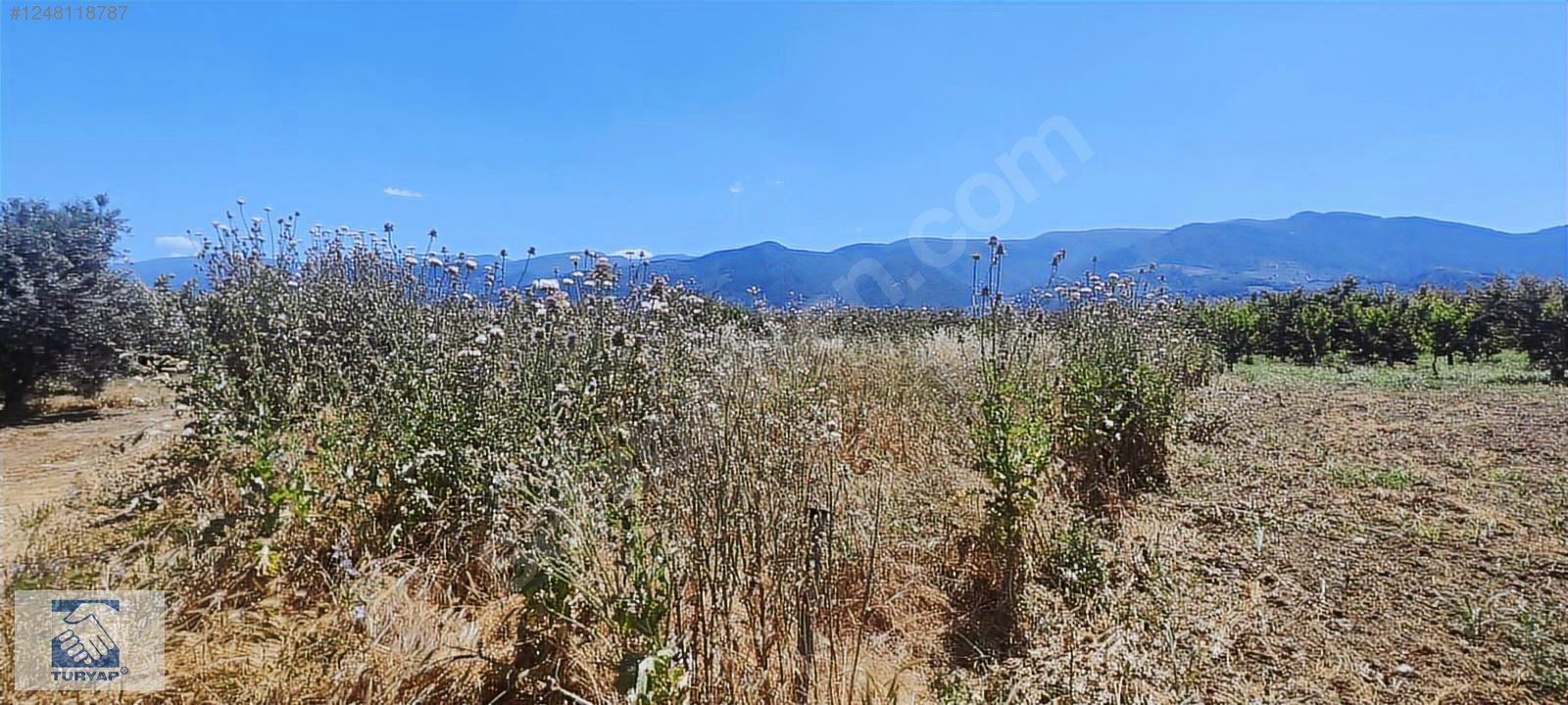 Kemalpaşa Örende 1234 M2 Satılık Müstakil Bahçe - İZMİR KEMALPAŞA fotoğraf 4