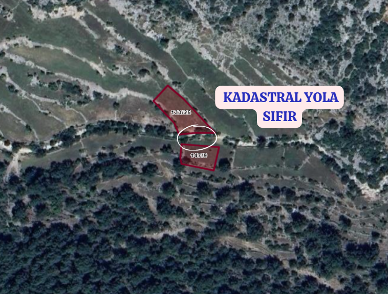 ANTALYA AKSEKİ MAHMUTLU KÖYÜNDE 503  M²  TARLA  SATILIKTIR - ANTALYA AKSEKİ fotoğraf 3