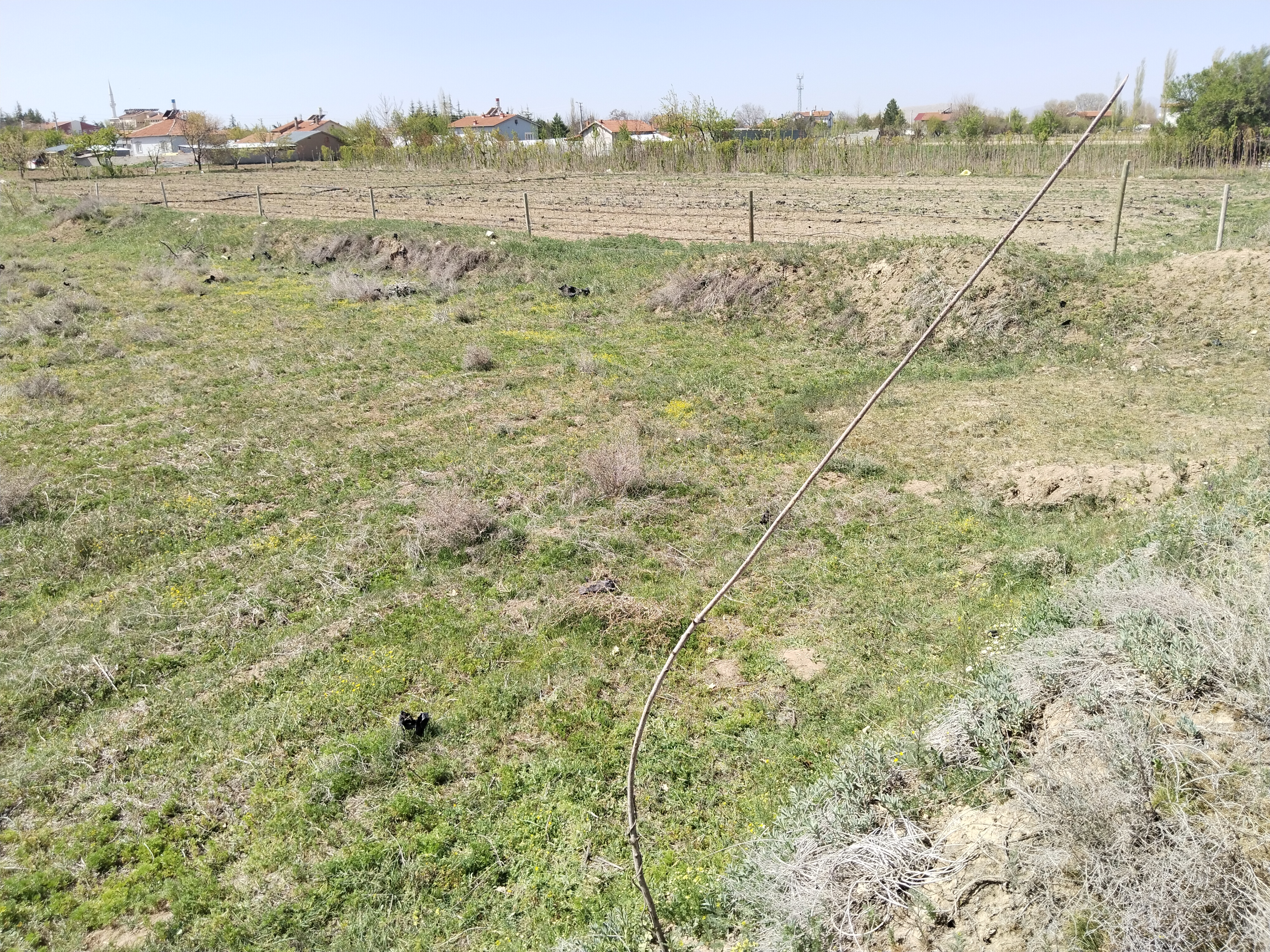 KONYA ÇUMRA ALİBEYHÜYÜĞÜ  KÖYÜNDE  272  M² BAĞ SATILIKTIR - KONYA ÇUMRA fotoğraf 8