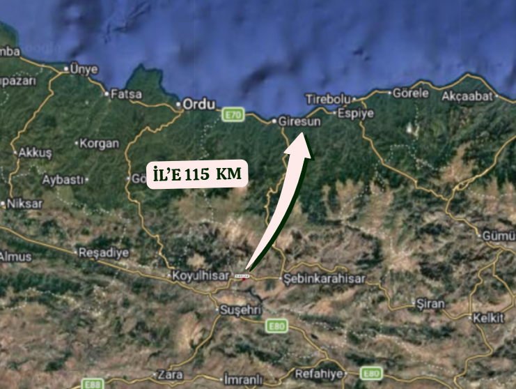 GİRESUN ŞEBİNKARAHİSAR TEPELTEPE  KÖYÜNDE 28.620  M²  TARLA  SATILIKTIR - GİRESUN ŞEBİNKARAHİSAR fotoğraf 6