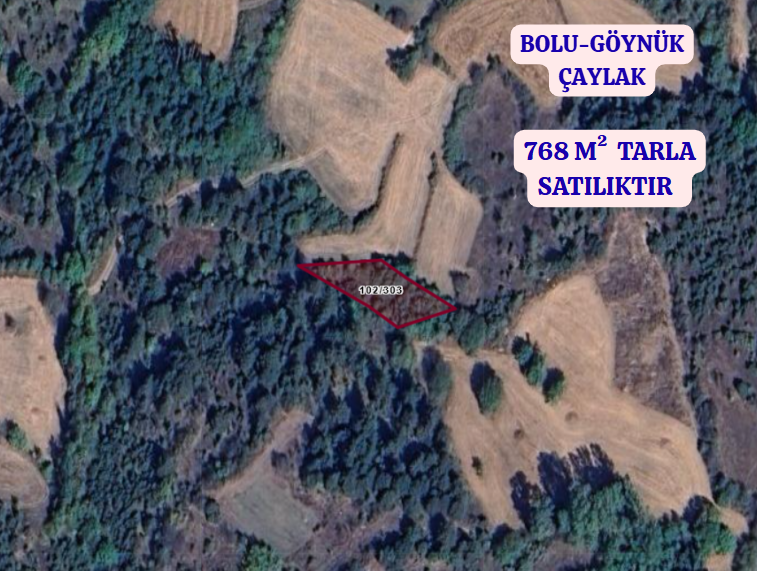 BOLU GÖYNÜK ÇAYLAK    KÖYÜNDE 768  M²  TARLA  SATILIKTIR - BOLU GÖYNÜK fotoğraf 2