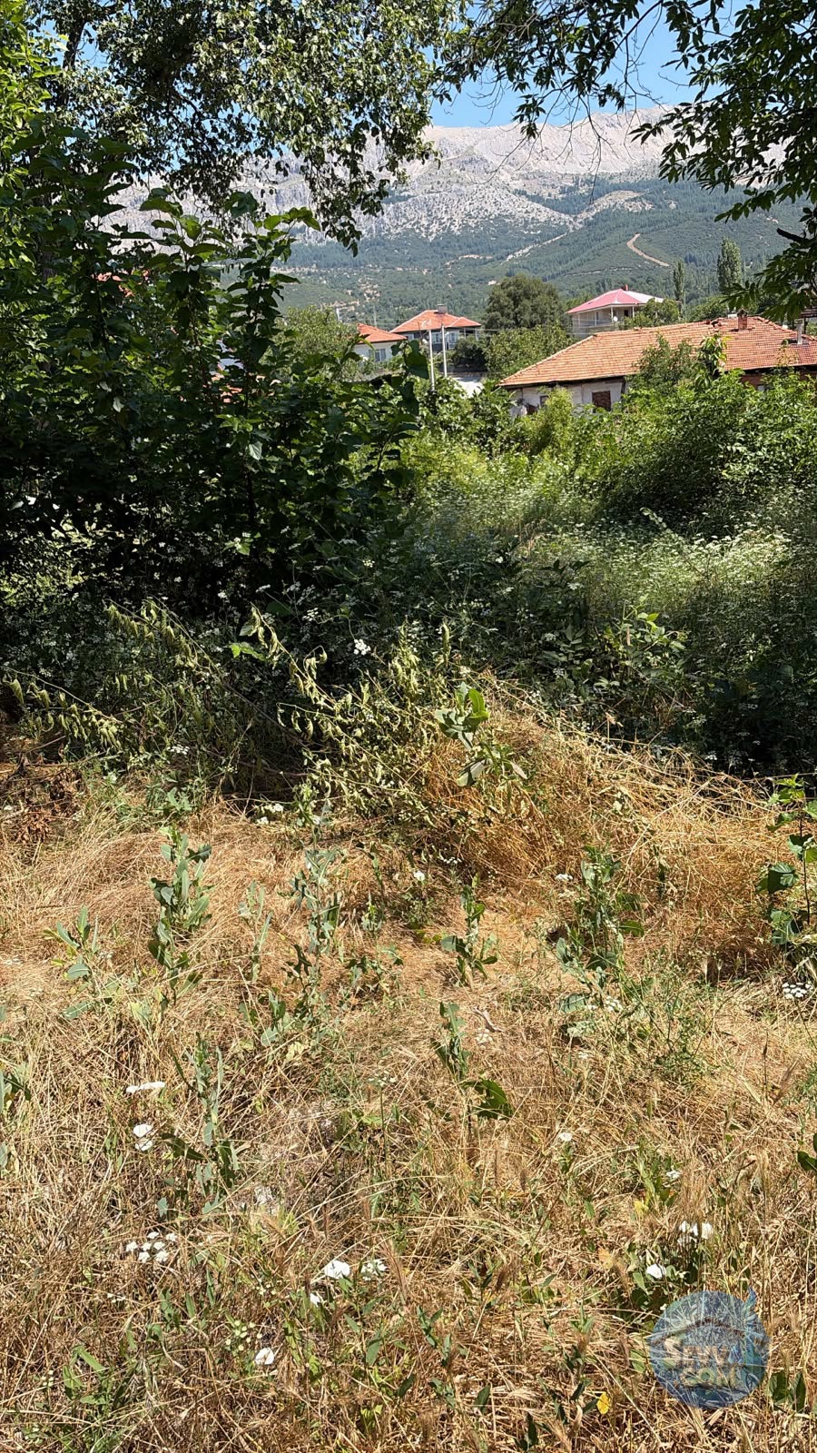AĞLASUN SAKARCA MAHALLESİNDE SATILIK MUHTELİF ARSA - BURDUR AĞLASUN fotoğraf 5