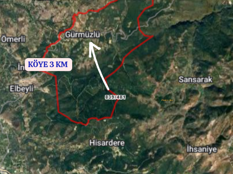 BURSA İZNİK GÜRMÜZLÜ  KÖYÜNDE 3.300 M² TARLA SATILIKTIR - BURSA İZNİK fotoğraf 6
