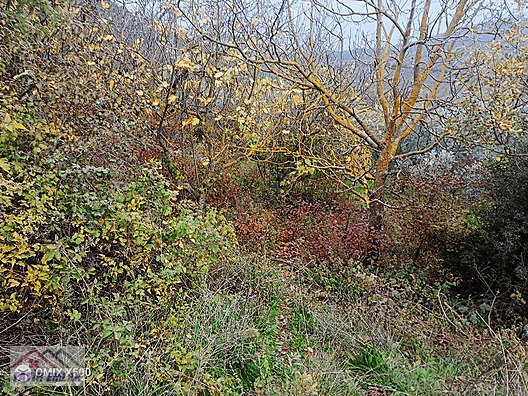 FATİH EMLAKTAN ŞAHİNYURDUNDA 956M2 SATILIK ZEYTİNLİK - BURSA GEMLİK fotoğraf 8