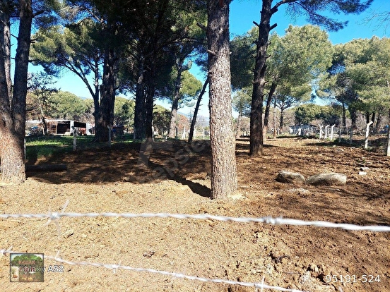 BERGAMA KOZAK YAYLASI YUKARIBEY MAH DE 950 m2 FISTIKLIK - İZMİR BERGAMA fotoğraf 8