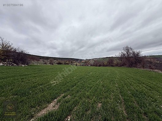 SAMSUN VEZİRKÖPRÜ ÇAMLIDERE'DE 6.670 M2 UYGUN ARSA - SAMSUN VEZİRKÖPRÜ fotoğraf 22