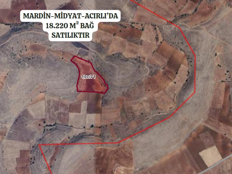 MARDİN MİDYAT ACIRLI KÖYÜ’NDE 18.220 M²’BAĞ SATILIKTIR - MARDİN MİDYAT fotoğraf 2