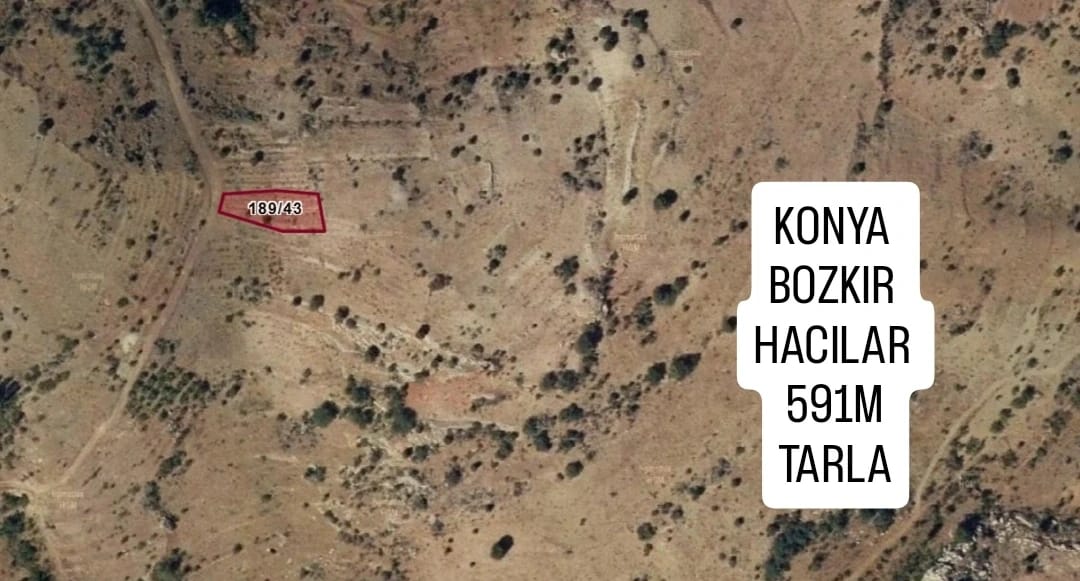 KONYA BOZKIR HACILAR KÖYÜNDE 591M² TARLAMIZ SATILIKTIR. - KONYA BOZKIR fotoğraf 2