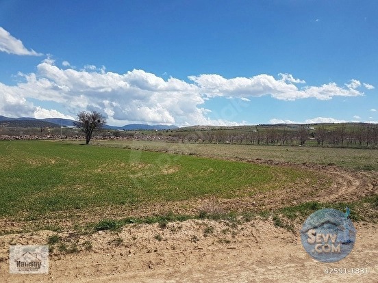 Ticari Tarla Acil Satılık - ANTALYA KORKUTELİ fotoğraf 27