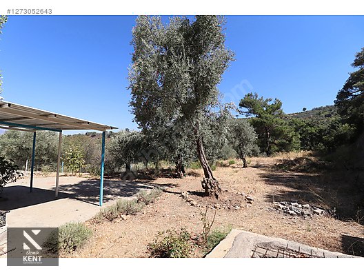 Kemalpaşa Aşağıkızılca Satılık 4536 m2 Bahçe - İZMİR KEMALPAŞA fotoğraf 25