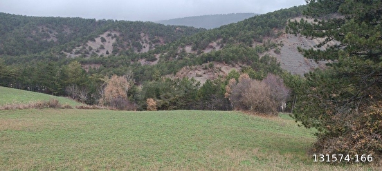 BOLU /GÖYNÜK KOZCAĞIZ KÖYÜNDE ORMAN İÇİNDE ARAZİ - BOLU GÖYNÜK fotoğraf 3