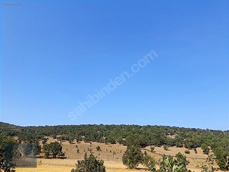 YOK BÖYLE FİYAT!! 45.321 M2 DURSUNBEY/KARAMANLARDA FIRSAT ARAZİ - BALIKESİR DURSUNBEY fotoğraf 6