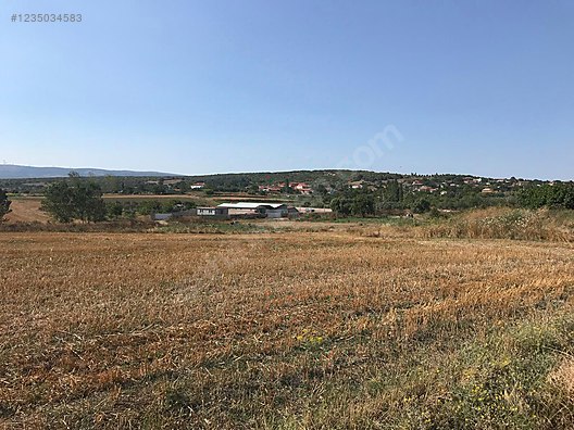 BURSA KARACABEY HARMANLI KÖYÜNDE 2.500  M² TARLA SATILIKTIR - BURSA KARACABEY fotoğraf 5
