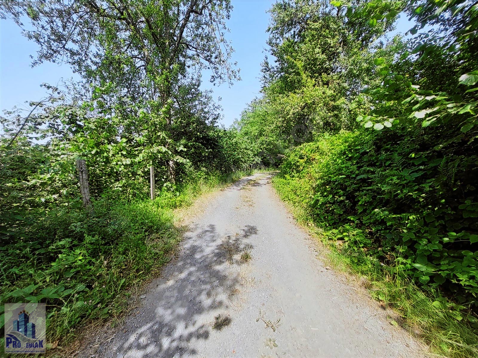 DÜZCE KAYNAŞLI BIÇKIYANI K TOPUK YAYLASINA 3 KM %50 İMARLI ARSA - DÜZCE KAYNAŞLI fotoğraf 2