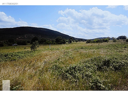 ÇANAKKALE BAYRAMİÇ MURATLAR KÖYÜ 45.000 m2 TARLA - ÇANAKKALE BAYRAMİÇ fotoğraf 29