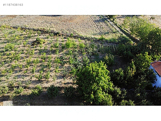 ÇANAKKALE BAYRAMİÇ BEŞİK KÖYÜ 6.900 m2 MEYVA BAHÇESİ 96 m2 EV - ÇANAKKALE BAYRAMİÇ fotoğraf 32