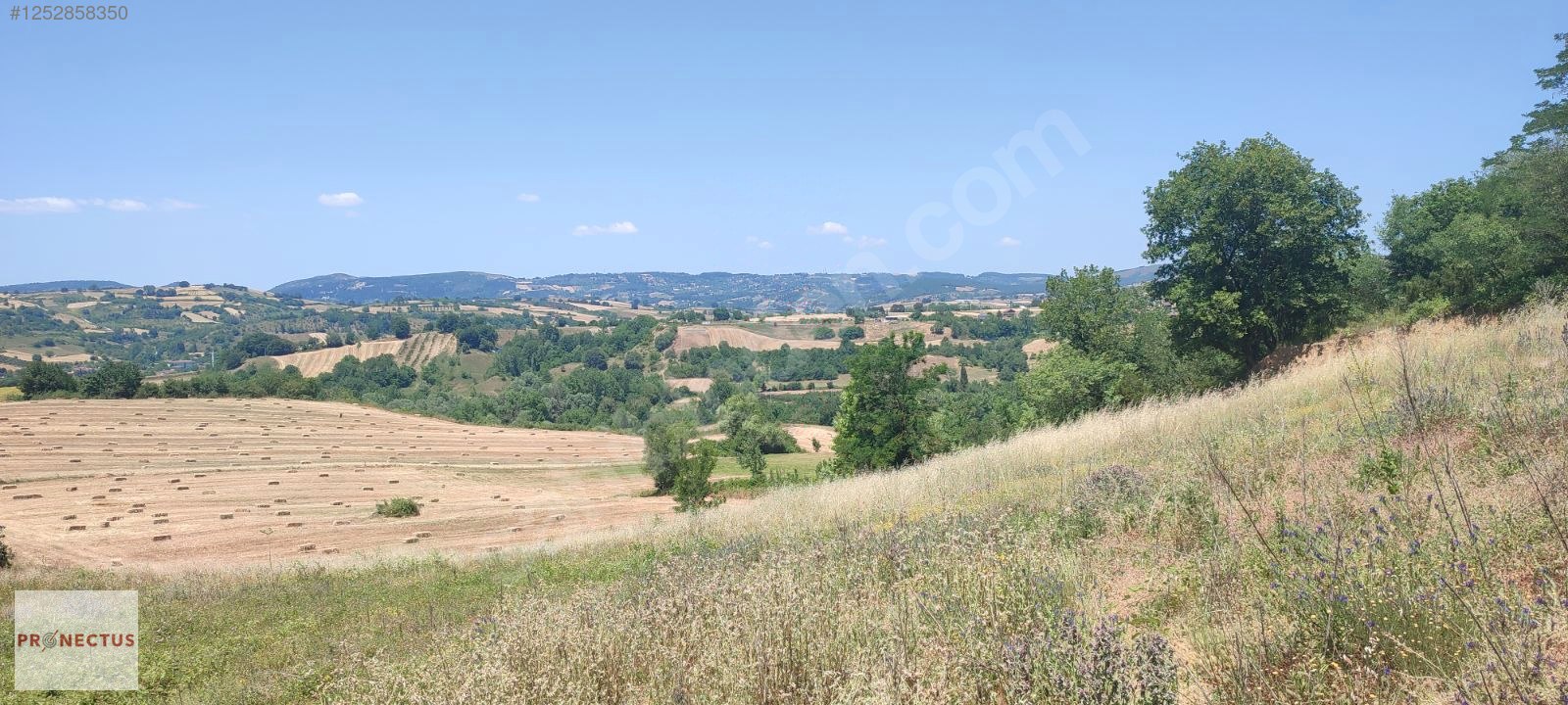 AVCIKÖY MAHALLESİNDE RESMİ YOLA CEPHE 3057M2 İMARLI SATILIK ARSA - KOCAELİ KARAMÜRSEL fotoğraf 9