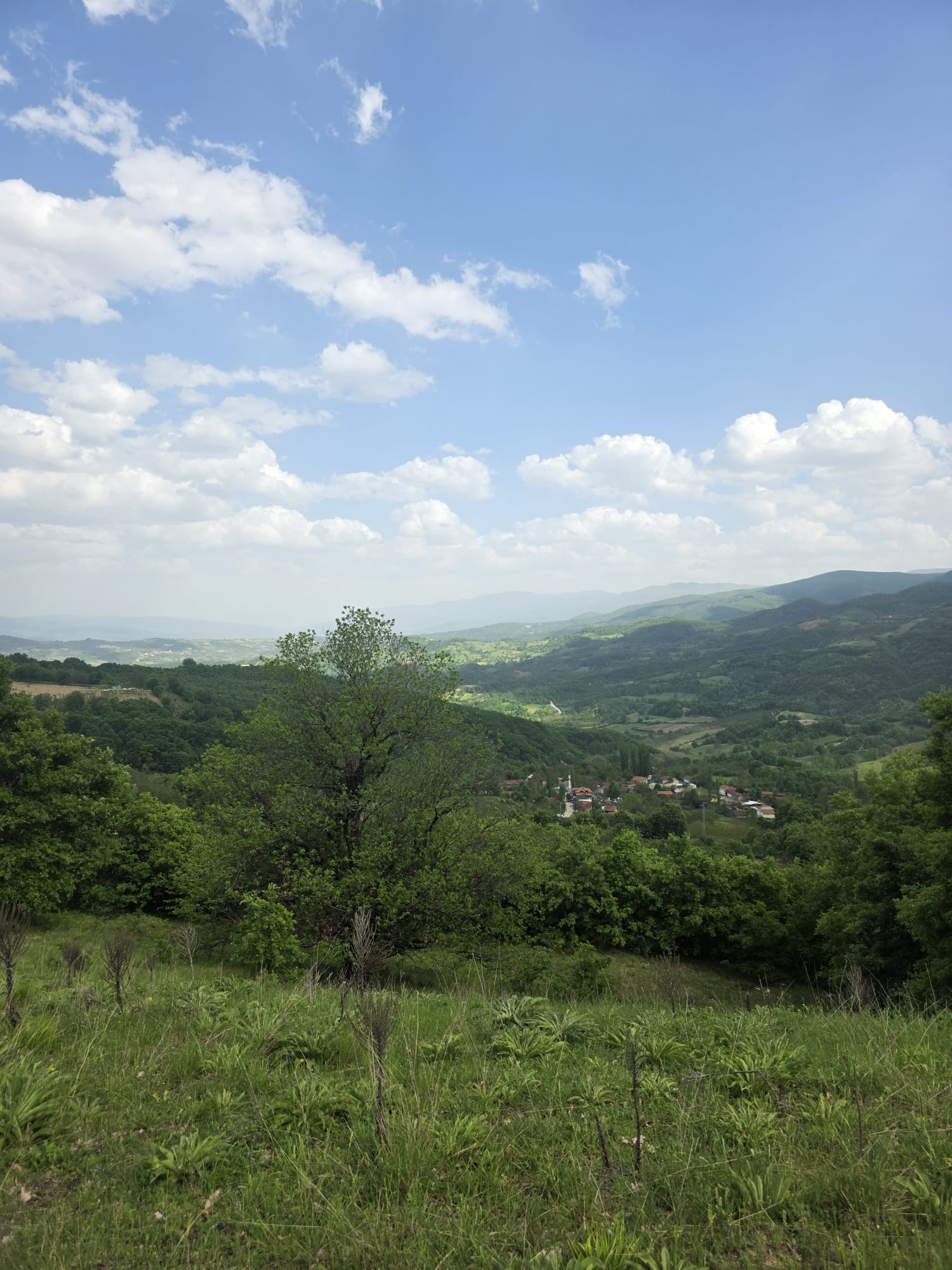 BURSA İNEGÖL ESKİ KÖYÜMÜZDE 2.697 M² TARLAMIZ  SATILIKTIR. - BURSA İNEGÖL fotoğraf 7
