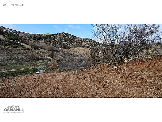 KÜRE KÖYÜNE 5 DK MESAFEDE İÇİ DÜZELTİLMİŞ 1.450 M2 SATILIK ARAZİ - BİLECİK SÖĞÜT fotoğraf 9