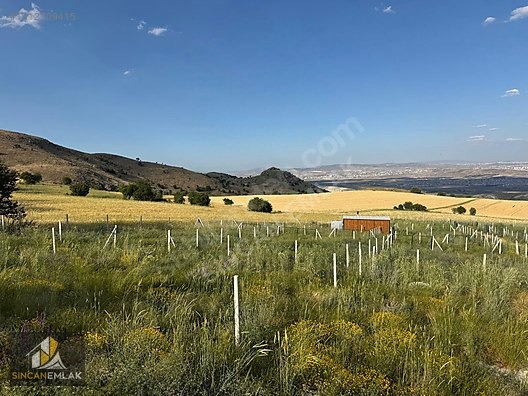 AYAŞ BAŞAYAŞ MAHALLESİNDE SATILIK FIRSAT HOBİ BAHÇELERİ - ANKARA AYAŞ fotoğraf 11
