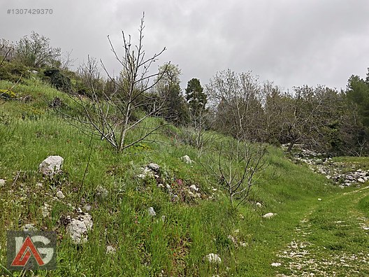 KARACAÖREN 877m2 yol cepheli - ANTALYA KUMLUCA fotoğraf 8