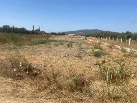 Torbalı Şehitler Mahallesinde Satılık Tarla - İZMİR TORBALI fotoğraf 2