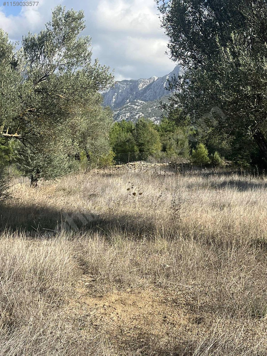 Antalya / Akseki / Erenyaka Mahallesinde  1.551 m² SATILIK ARSA  - ANTALYA AKSEKİ fotoğraf 14