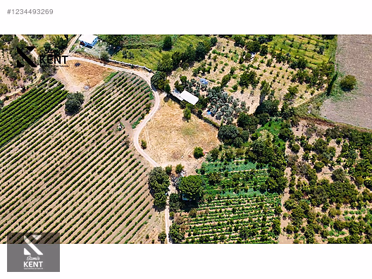 Kemalpaşa Yukarıkızılca Satılık 408 m2 Bahçe - İZMİR KEMALPAŞA fotoğraf 7