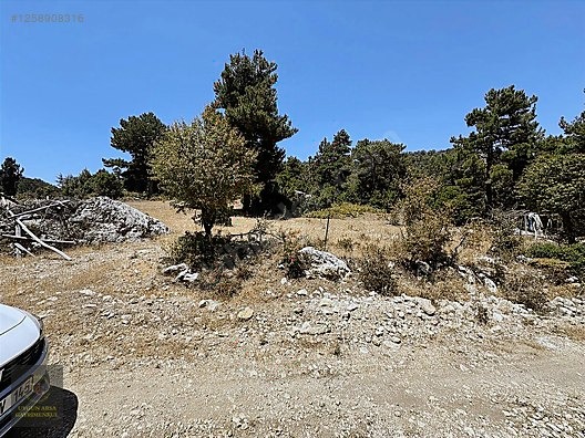 ANTALYA KAŞ YAYLAPALAMUT' DA 3.888 M2 UYGUN ARSA - ANTALYA KAŞ fotoğraf 9