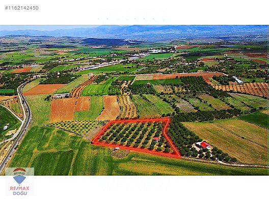 REMAX DOĞUDAN EKRÜZDE SATILIK CEVİZ BAHÇESİ - ELAZIĞ MERKEZ fotoğraf 2
