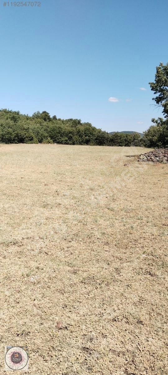 Kütahya merkez kozluca köyü nde satılık tarla - KÜTAHYA MERKEZ fotoğraf 19